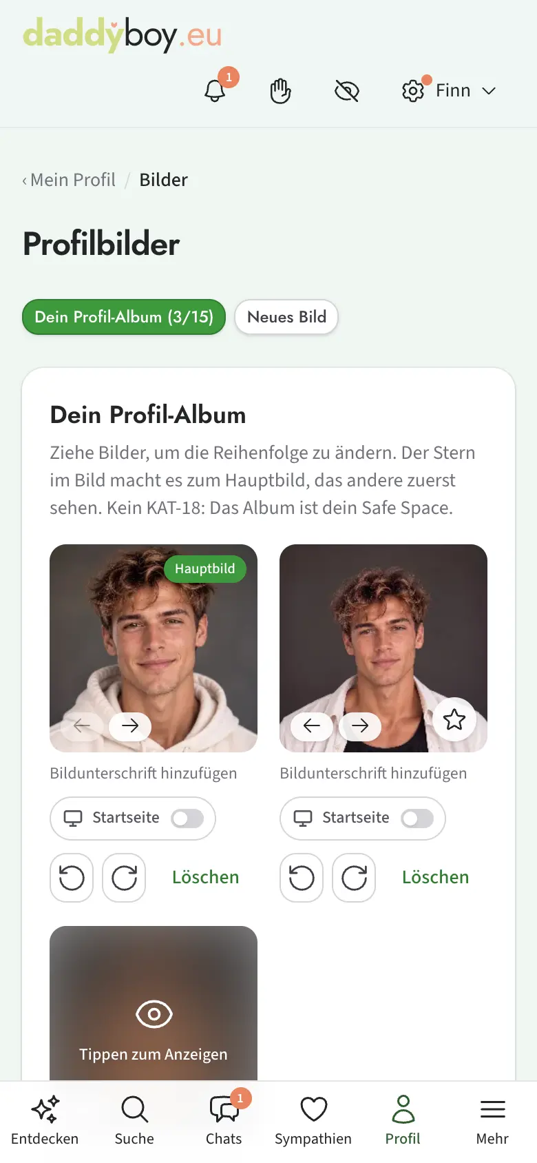 Profilbilder-Album mit Hauptbild-Stern