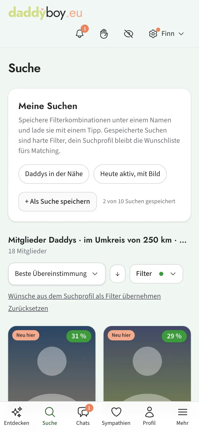 Chips „Meine Suchen“ über den Treffern
