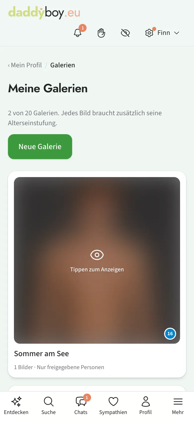Galerieübersicht mit Sichtbarkeit