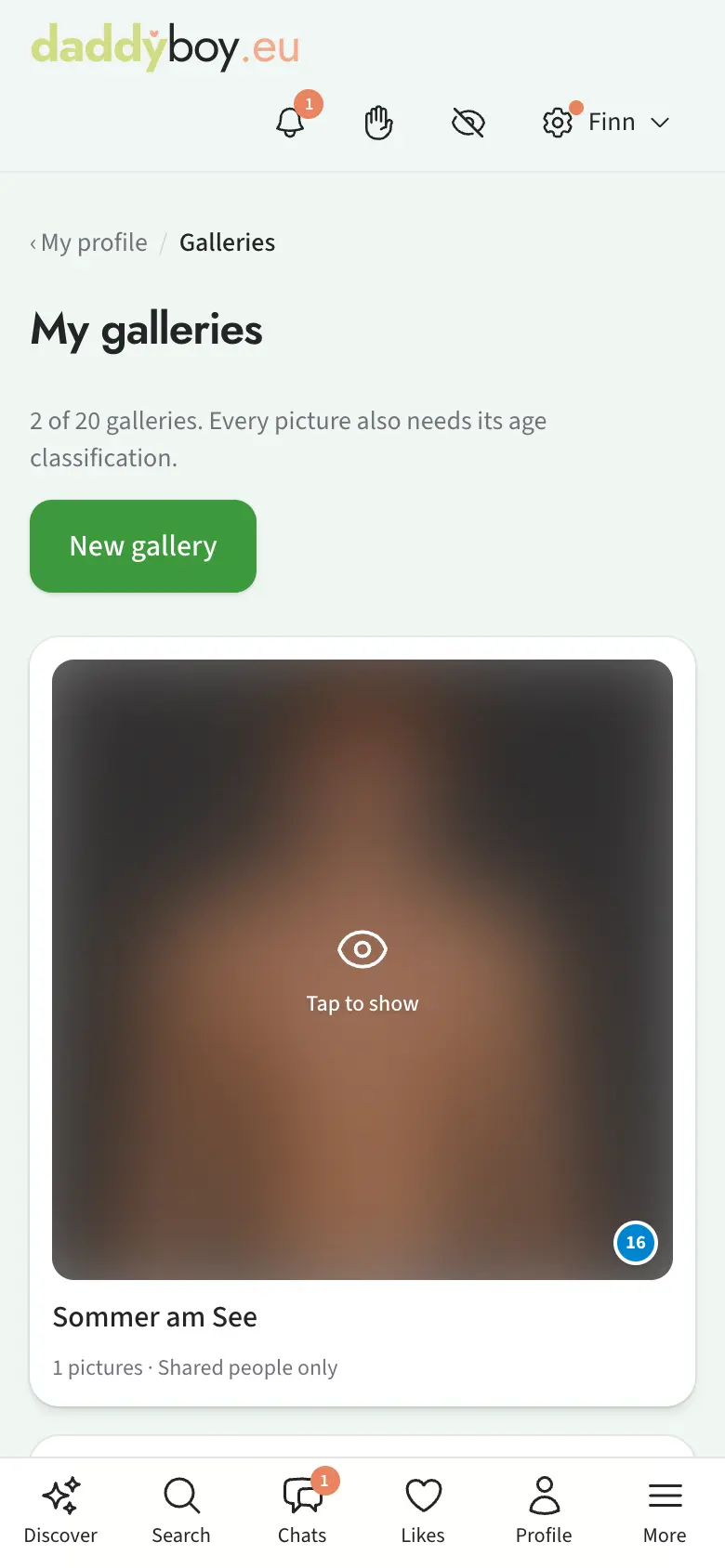 Gallery overview with visibility